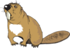 Confused Beaver Clip Art